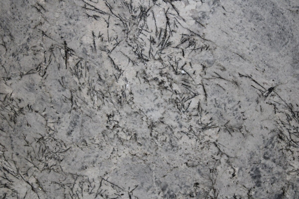 Blue Flowers - Gray Granite 2