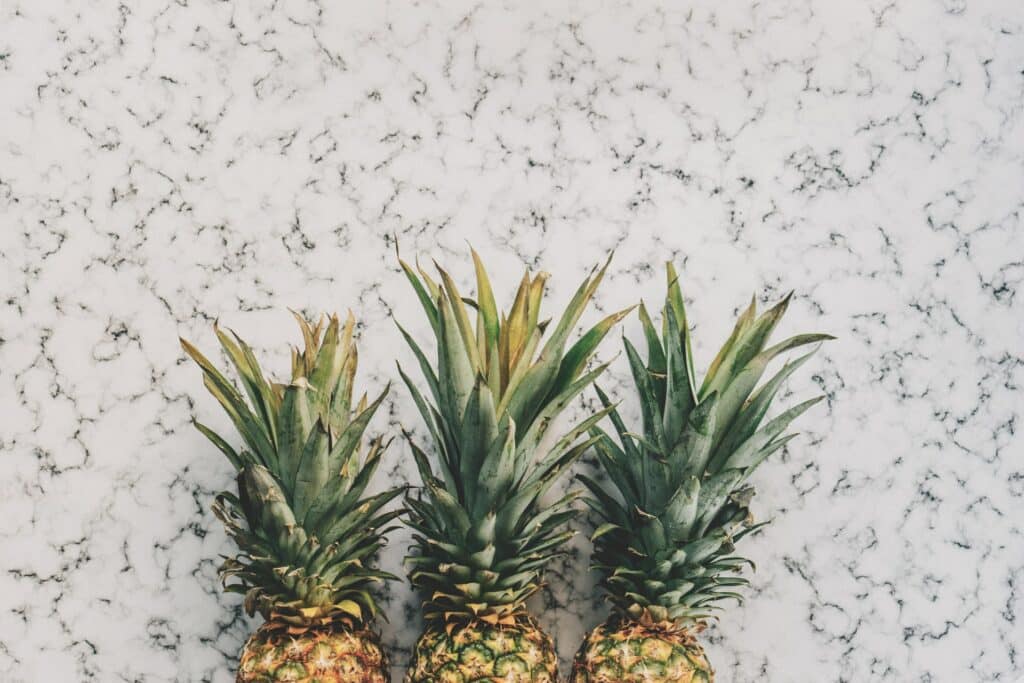 Top Quartz Countertop Trends Of 2020 Cosmos Surfaces   Pineapple Supply Co LoGTCYD03n0 Unsplash 1024x683 